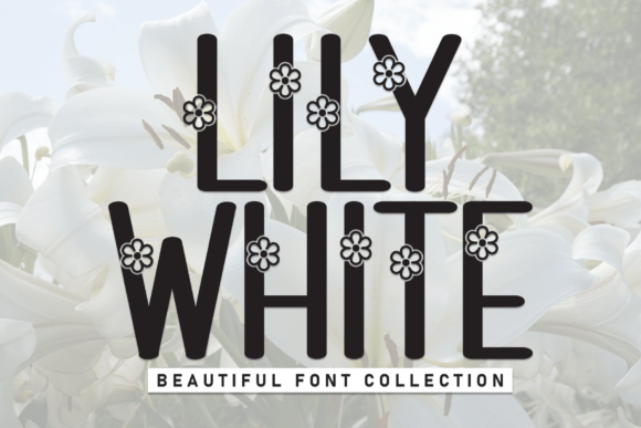 Discover the Charming Allure of Lily White: A Sweet and Friendly Display Font